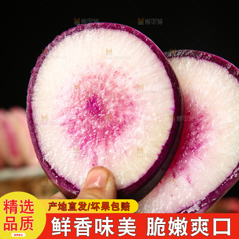 手里拿着冰糖心萝卜