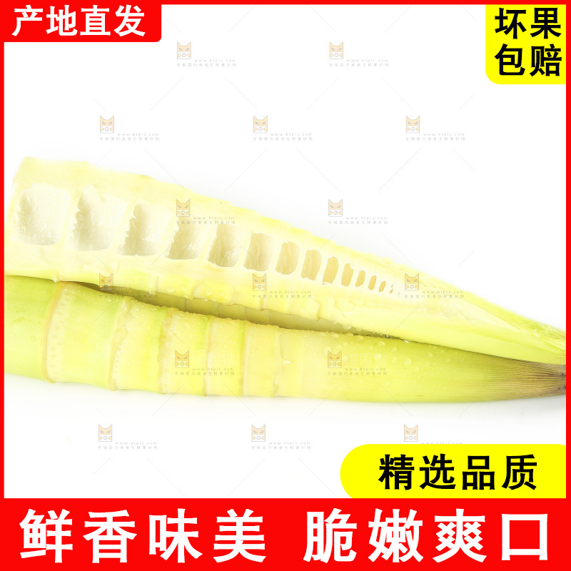 白底上的竹笋