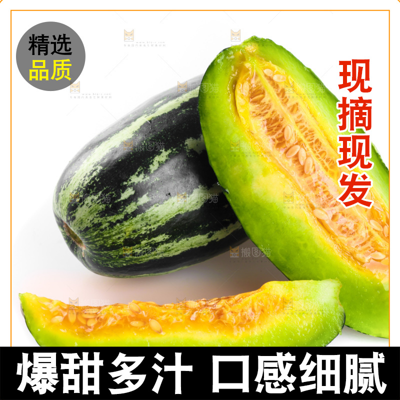 白底上放着博洋9号