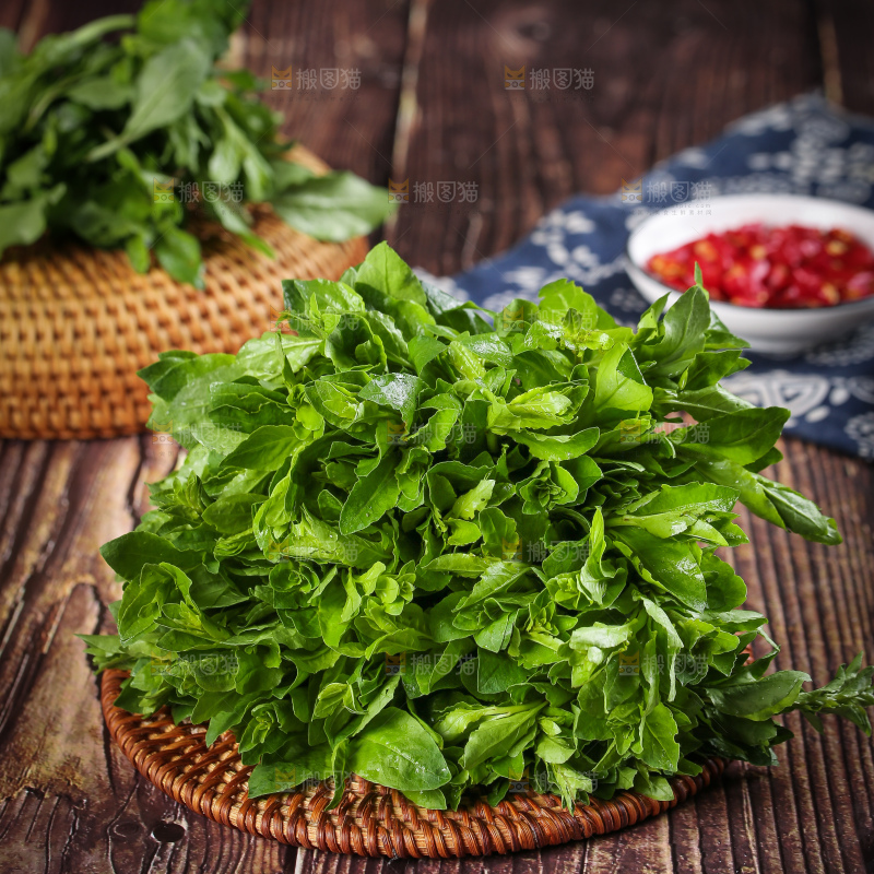 一堆新鲜枸杞菜
