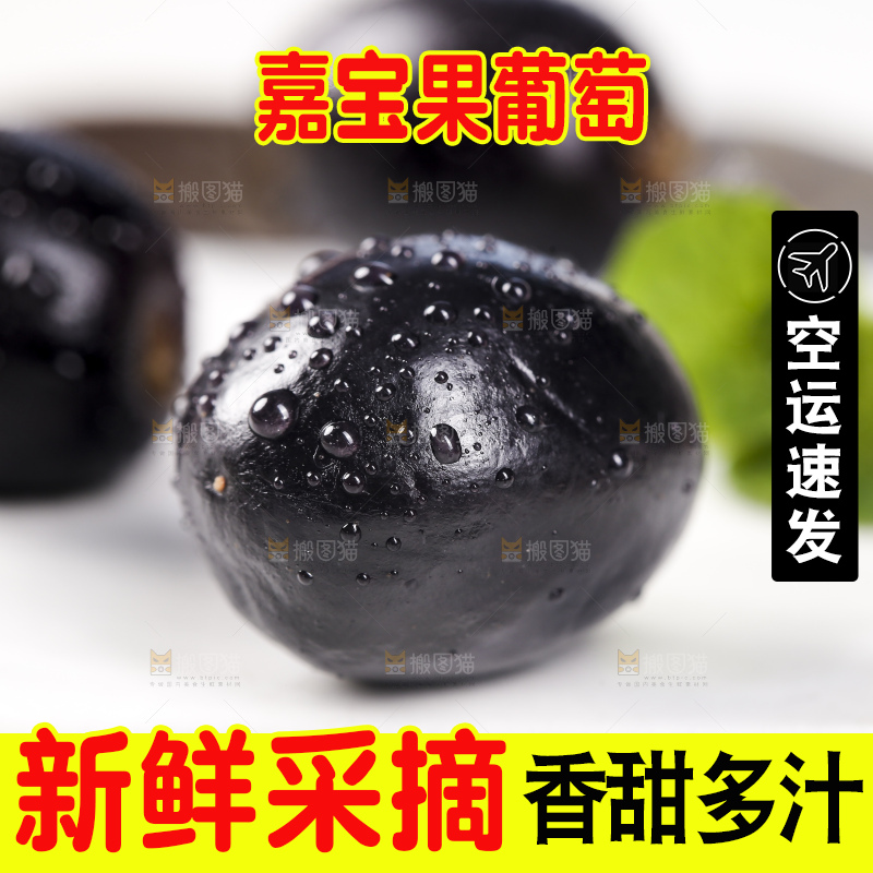 白底上摆放着阳光嘉宝果