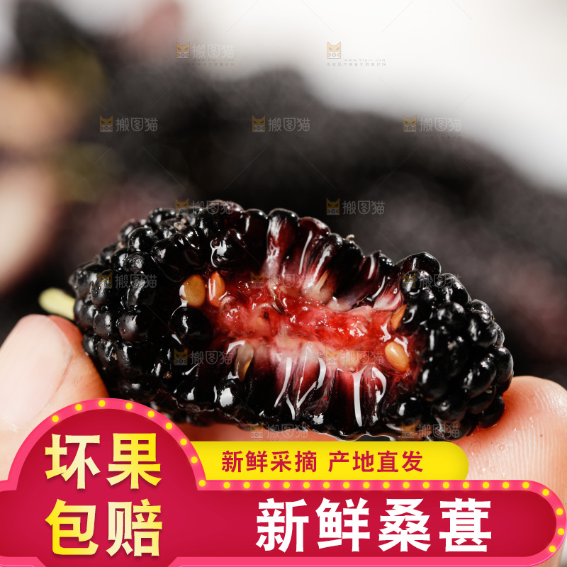 手里拿着桑枣