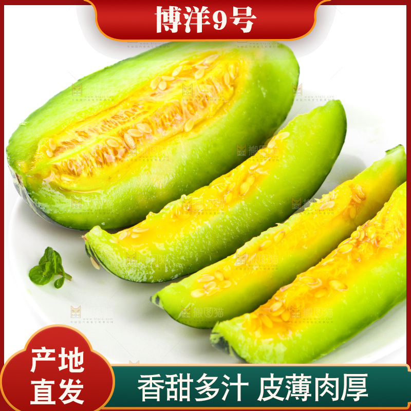 一盘切块的博洋9号