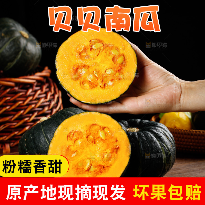 手里拿着贝贝南瓜