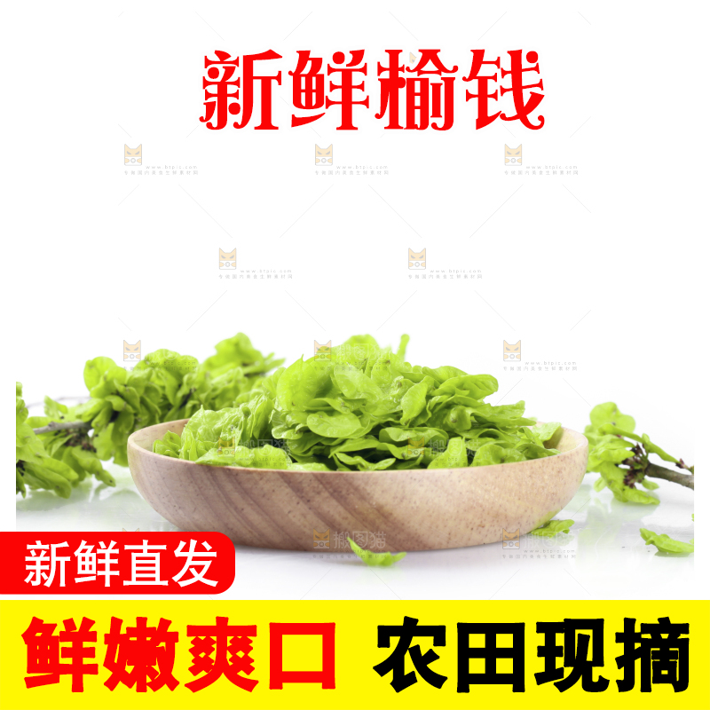 榆钱摆放在白底上