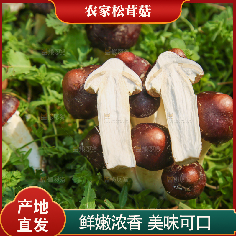 新鲜的巴西蘑菇