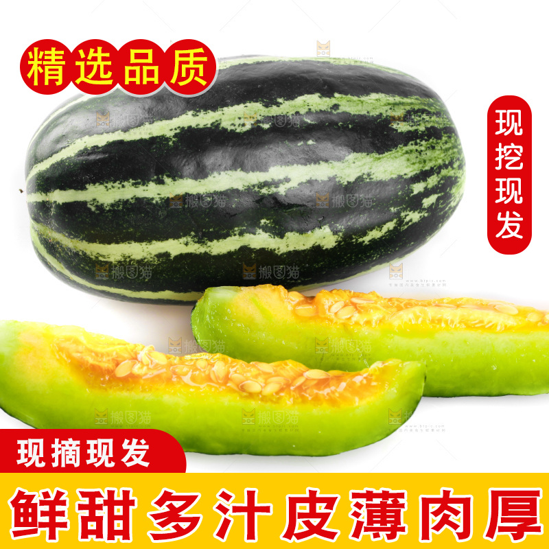 白底上放着博洋9号