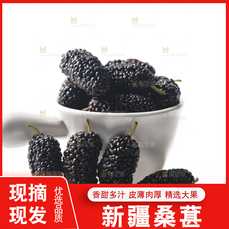 白底上的桑枣