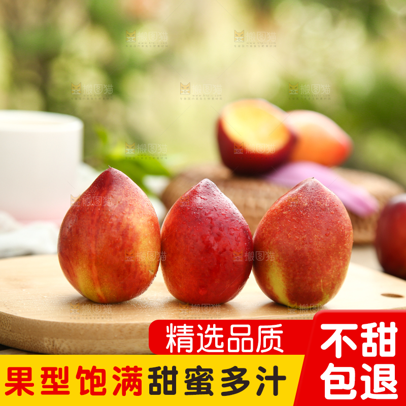 木底上的澳洲桃驳李