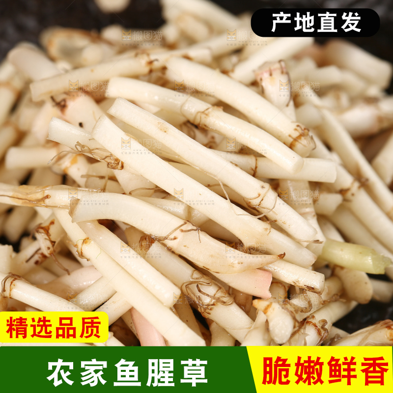 一盘折耳根