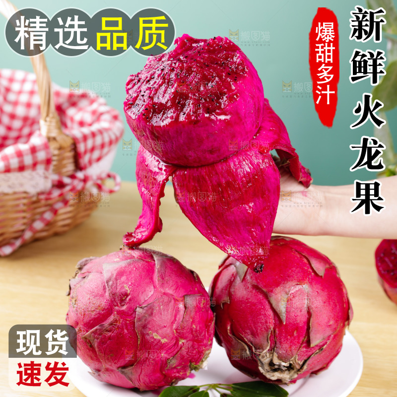 手里拿着金都一号红心火龙果