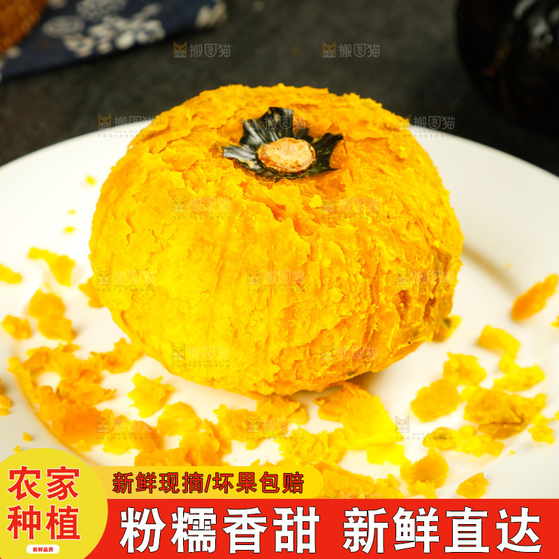 盘子里的贝贝小南瓜