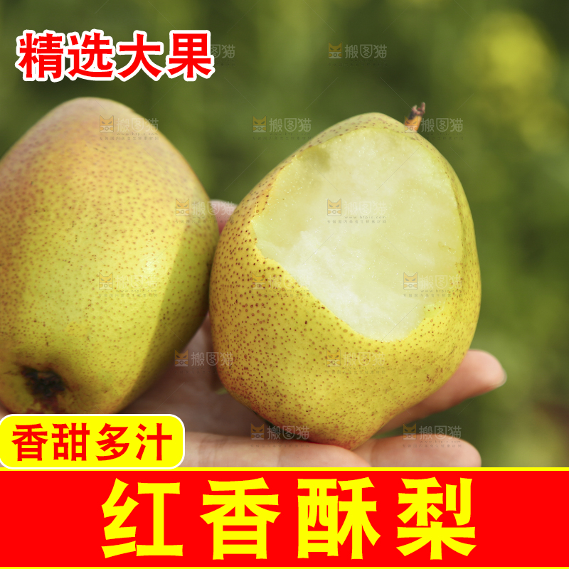 手里拿着香酥梨
