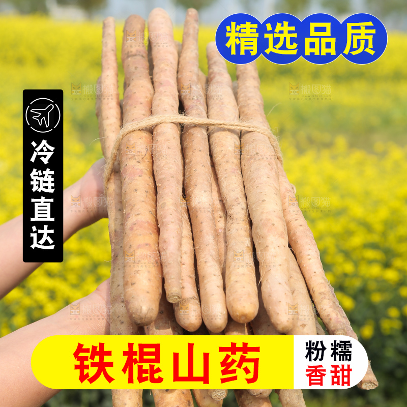 手里拿着山药