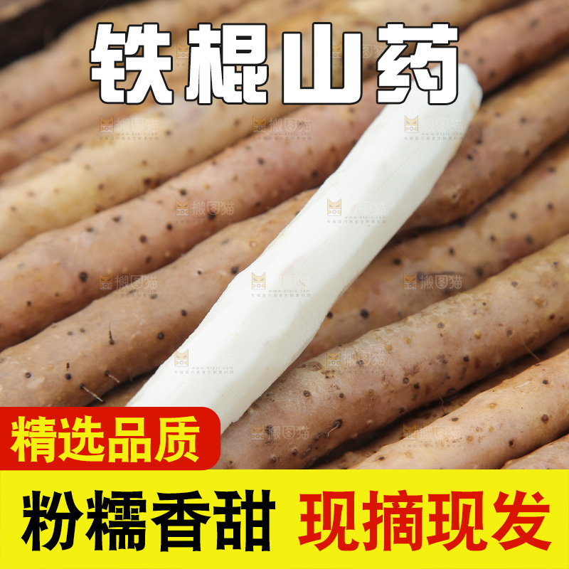 一盘垆土铁棍山药