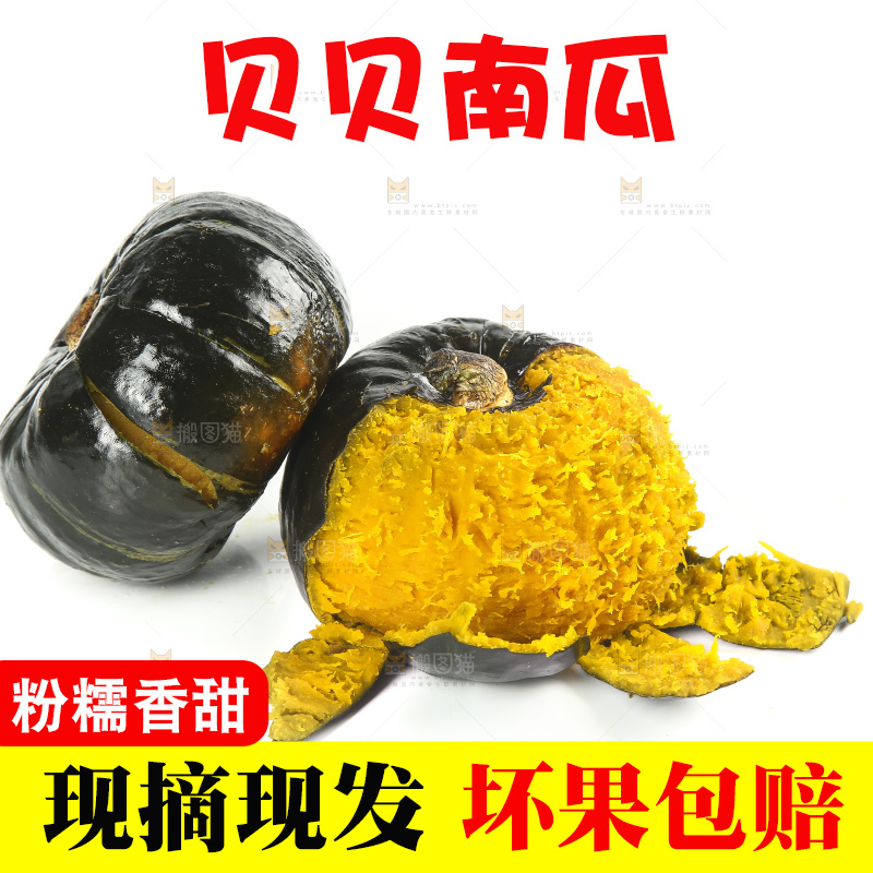 白底上的贝贝小南瓜
