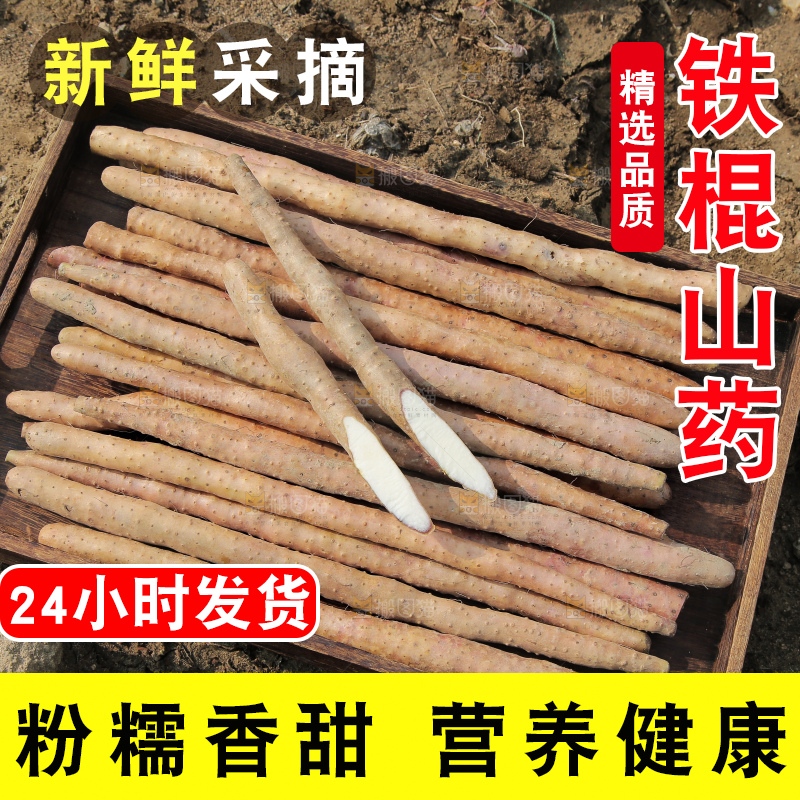 一盘铁棍山药