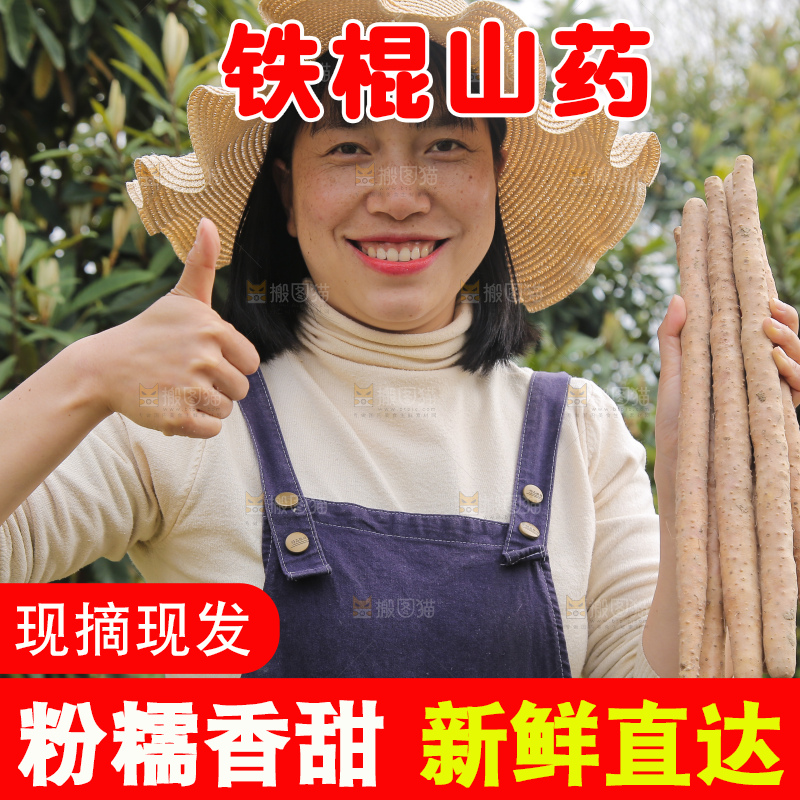 手里拿着山药