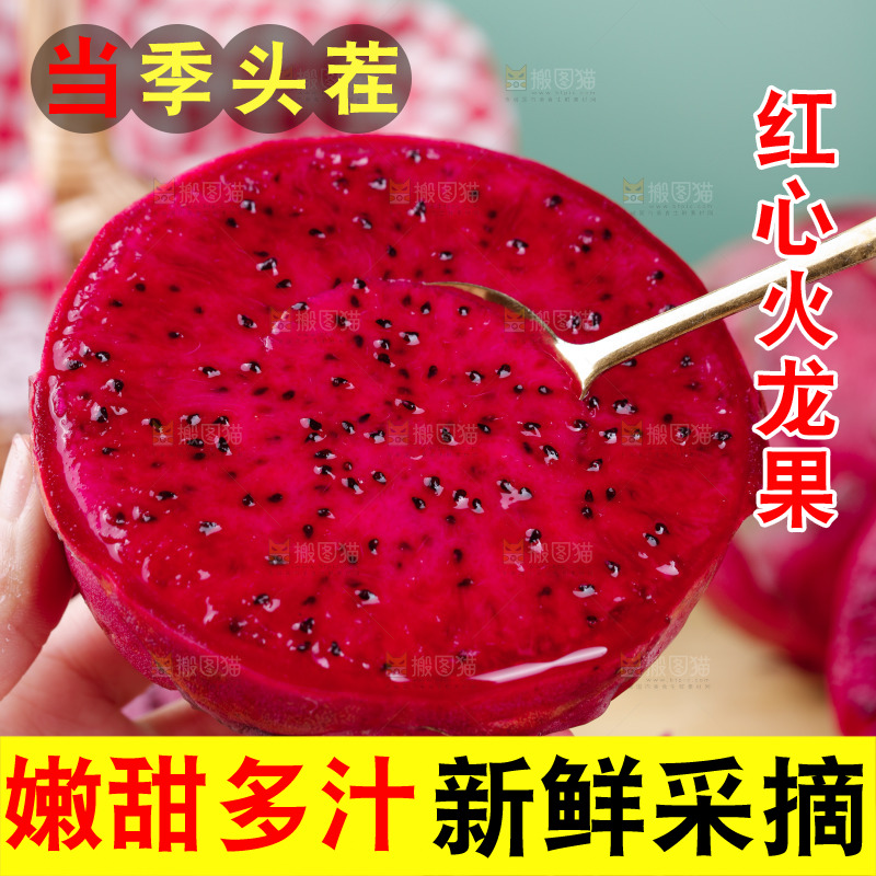 勺子是舀着红心火龙果果肉