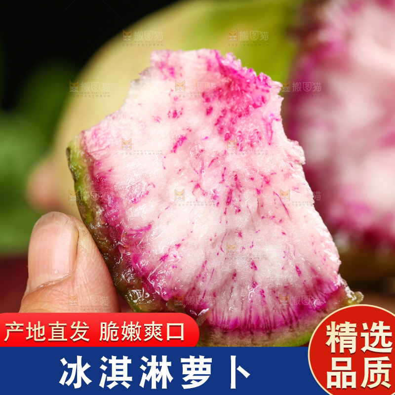 手里拿着冰糖心萝卜