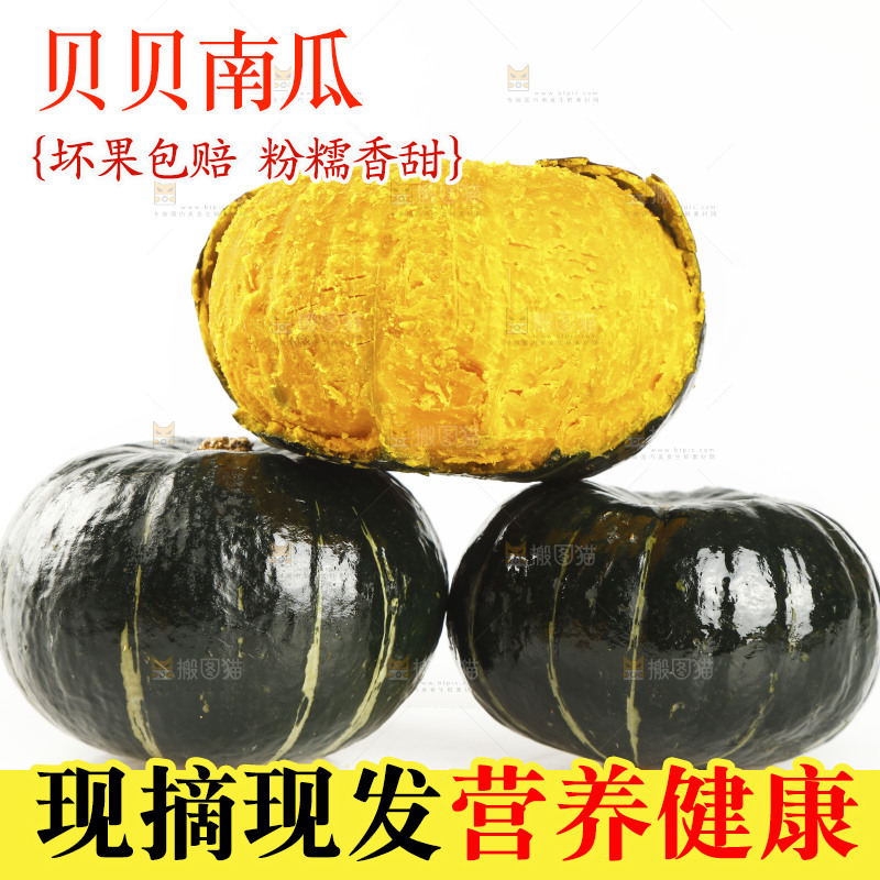 白底上的贝贝小南瓜