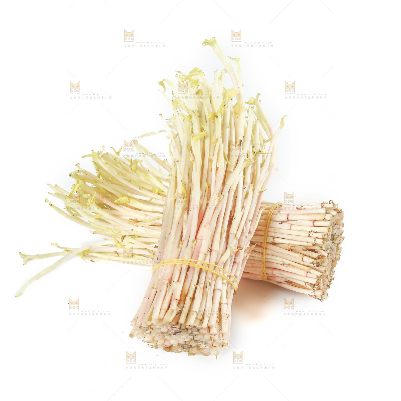 白底上放着折耳根嫩芽