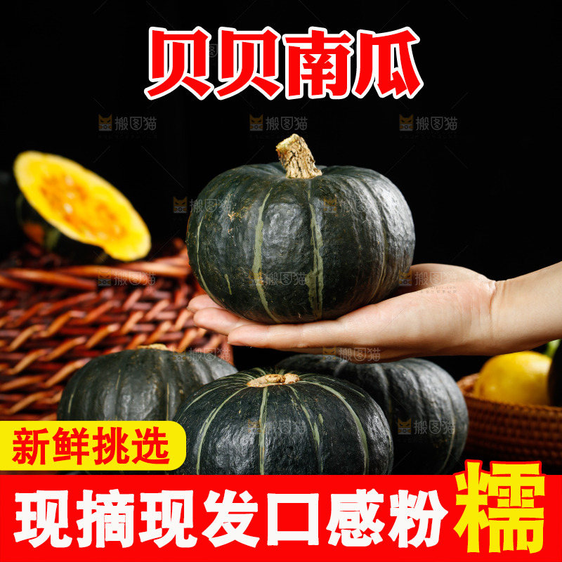手里拿着贝贝南瓜