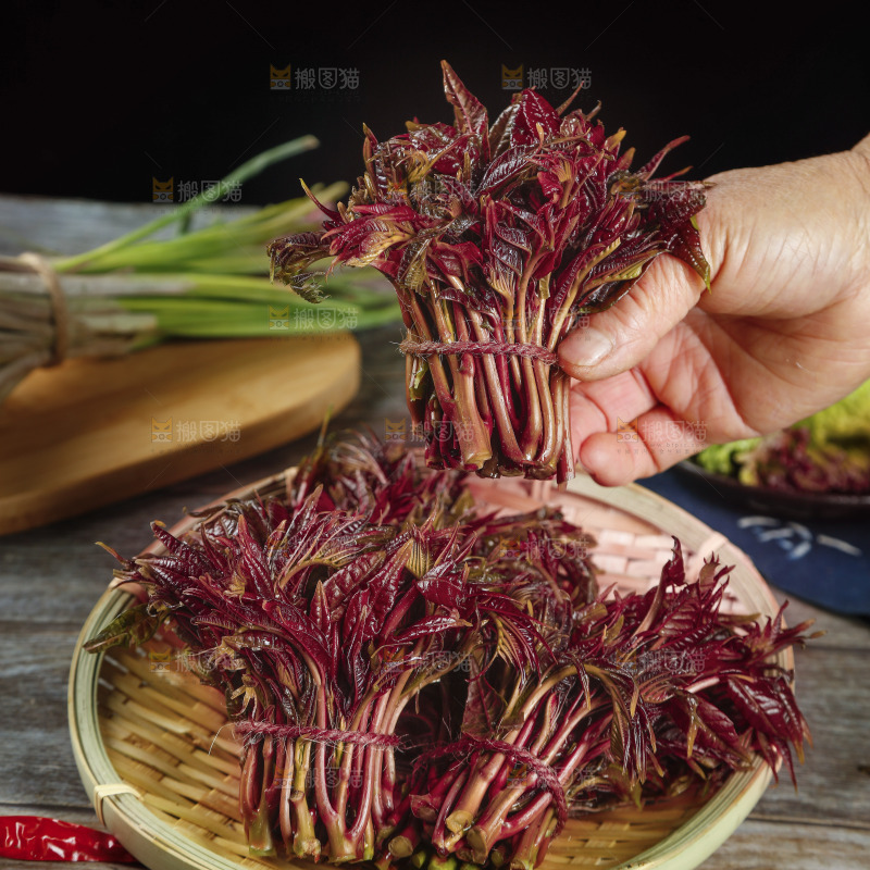 一篮红油香椿芽