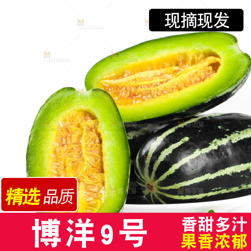 一堆新鲜博洋9号