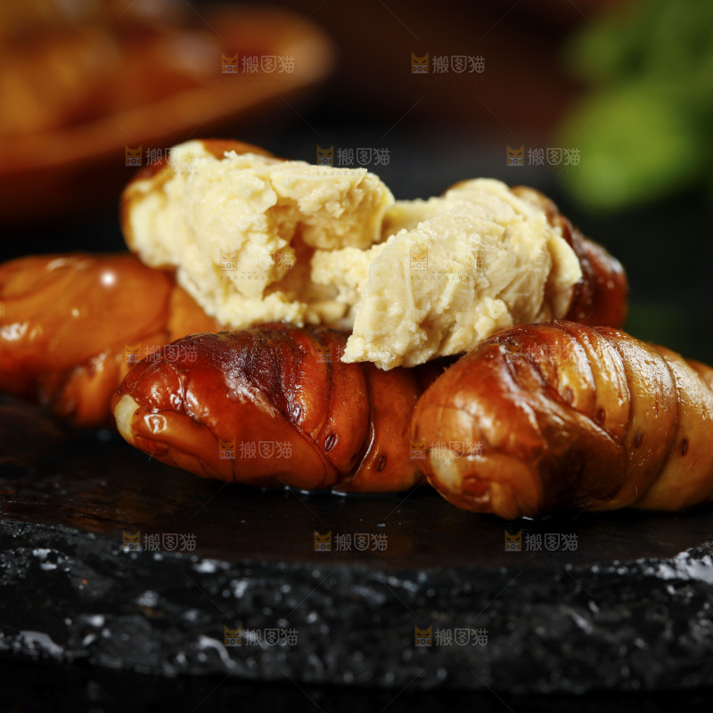 黑底上的蚕蛹
