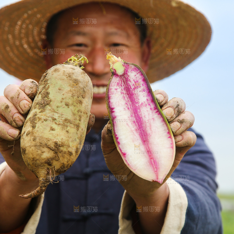 农民手里拿着冰淇林萝卜