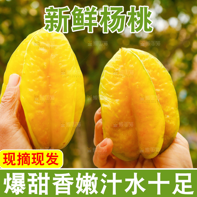 手里拿着杨桃