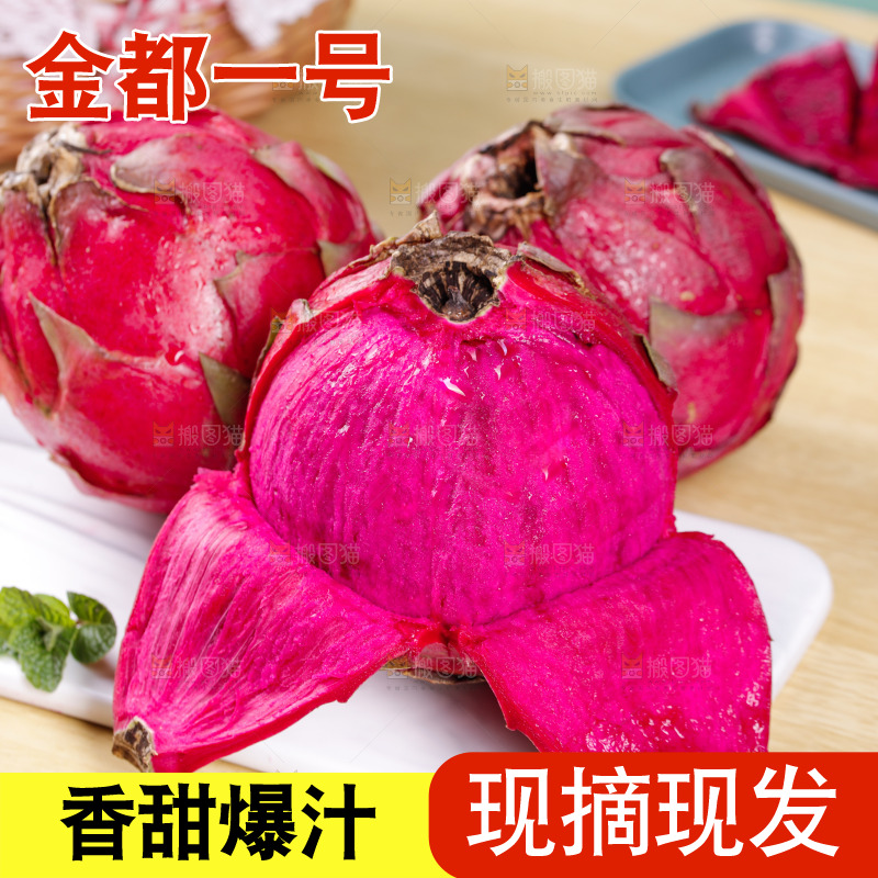 新鲜的金都一号红心火龙果