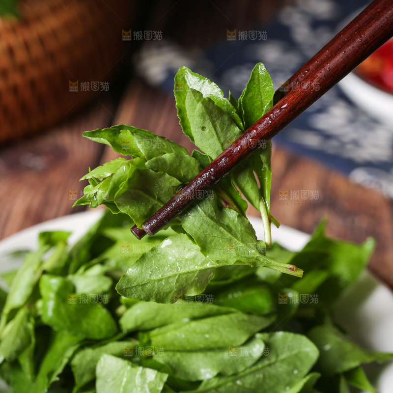 筷子上夹着枸杞菜