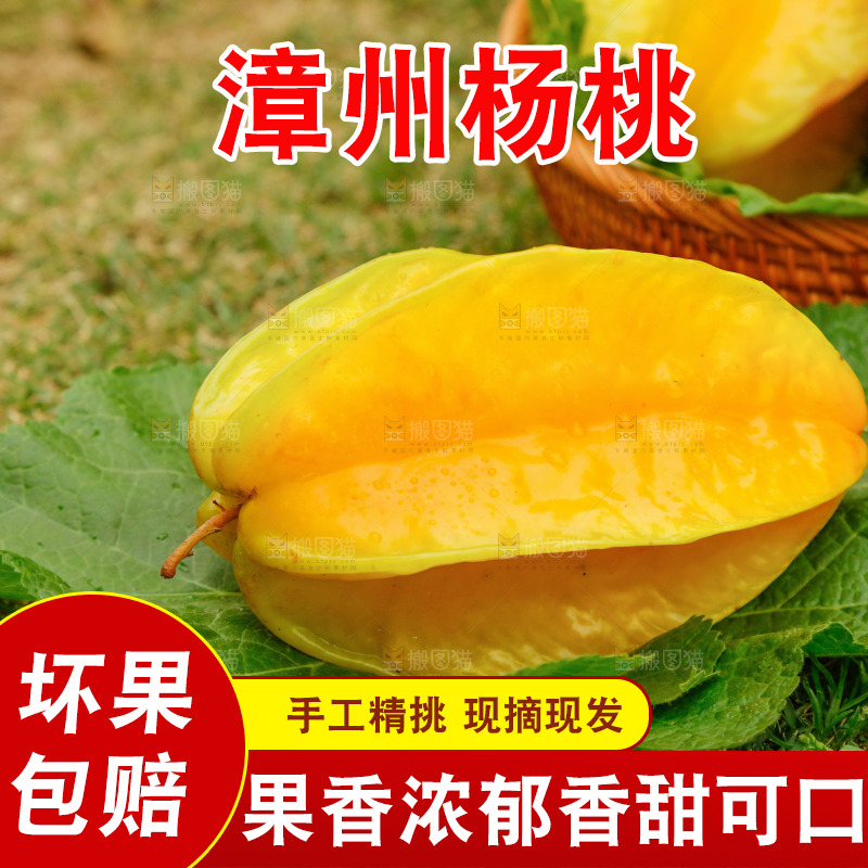 叶子上放着杨桃