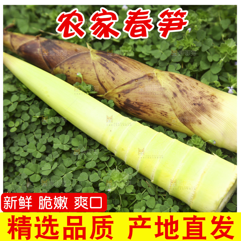 草里上放着春笋