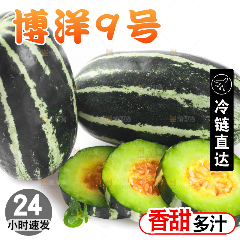 白底上放着一堆博洋9号甜瓜