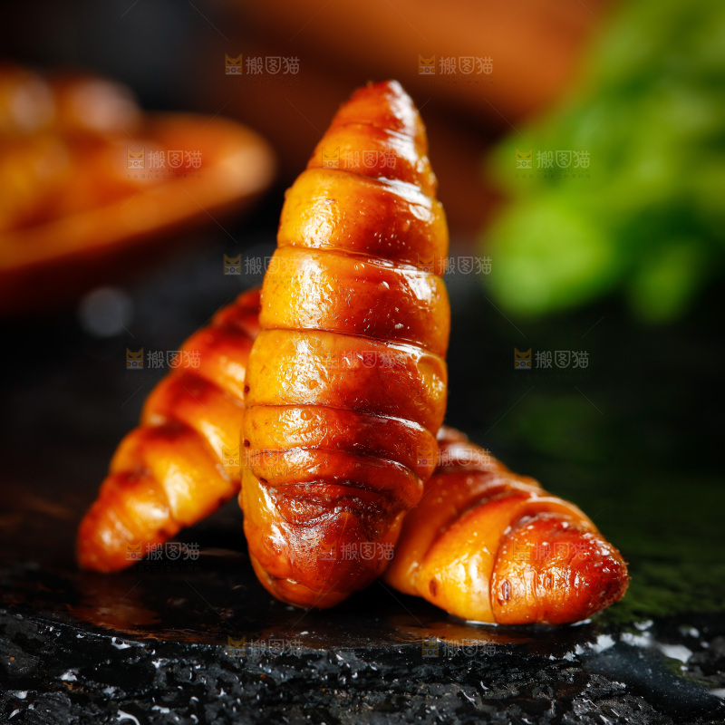黑底上的蚕蛹