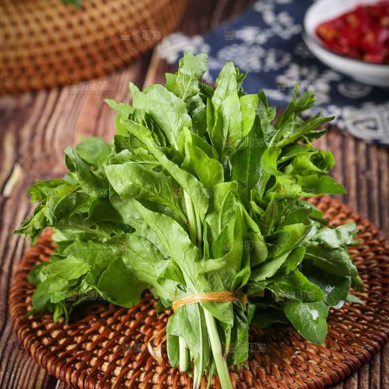 一堆新鲜枸杞菜