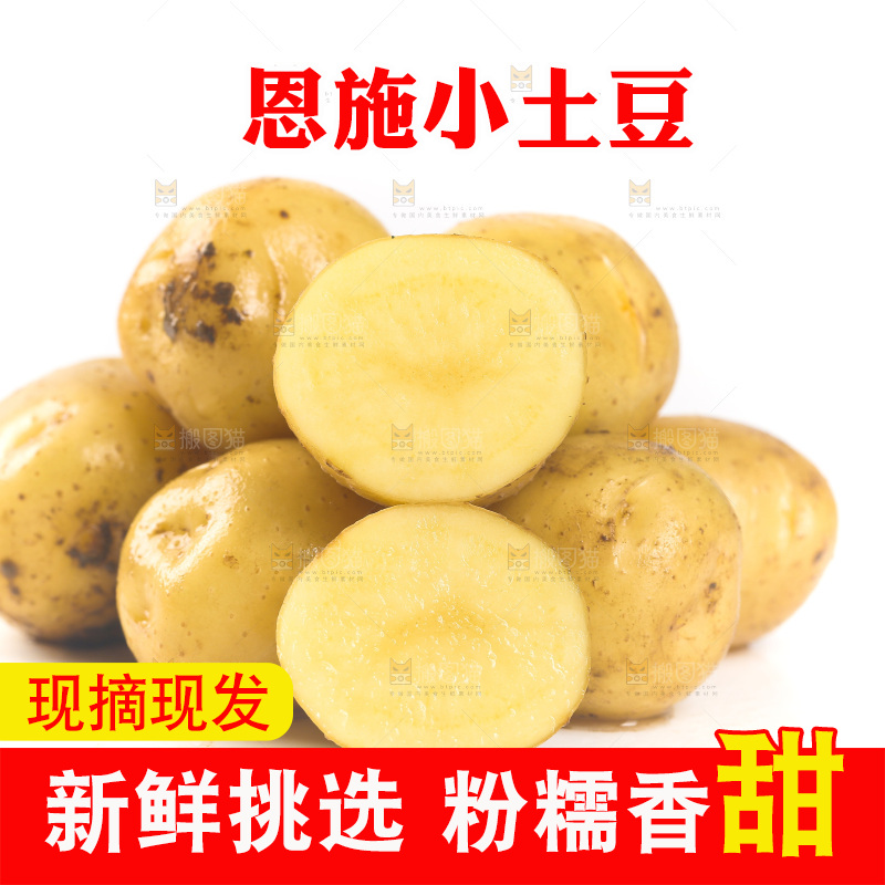 一堆新鲜小土豆