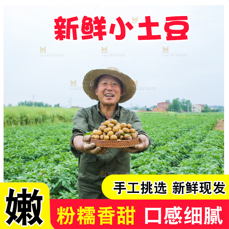 手里端着一篮小土豆