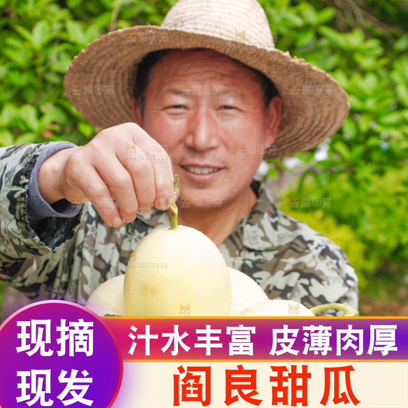 手里端着一篮新鲜阎良甜瓜