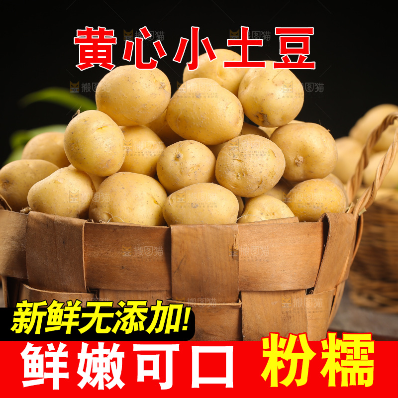 一篮黄皮小土豆
