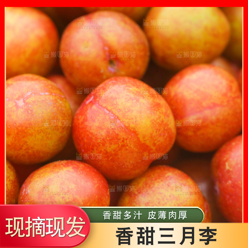 一篮红色三月李
