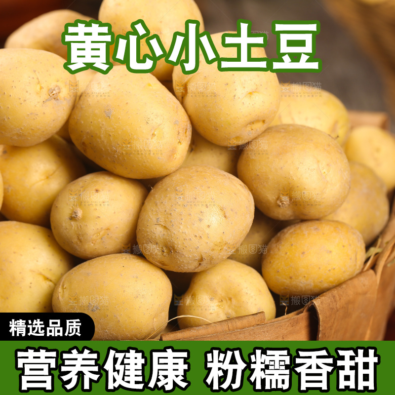 一篮黄皮小土豆