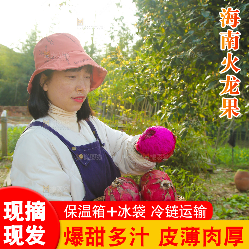手里端着一篮红心火龙果