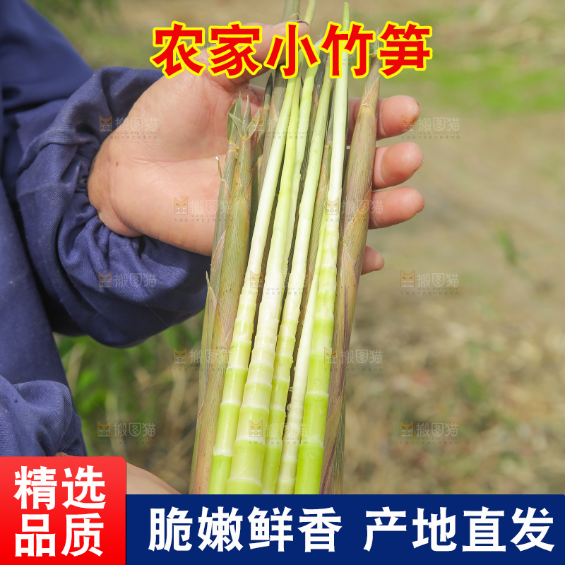 手里拿着小竹笋