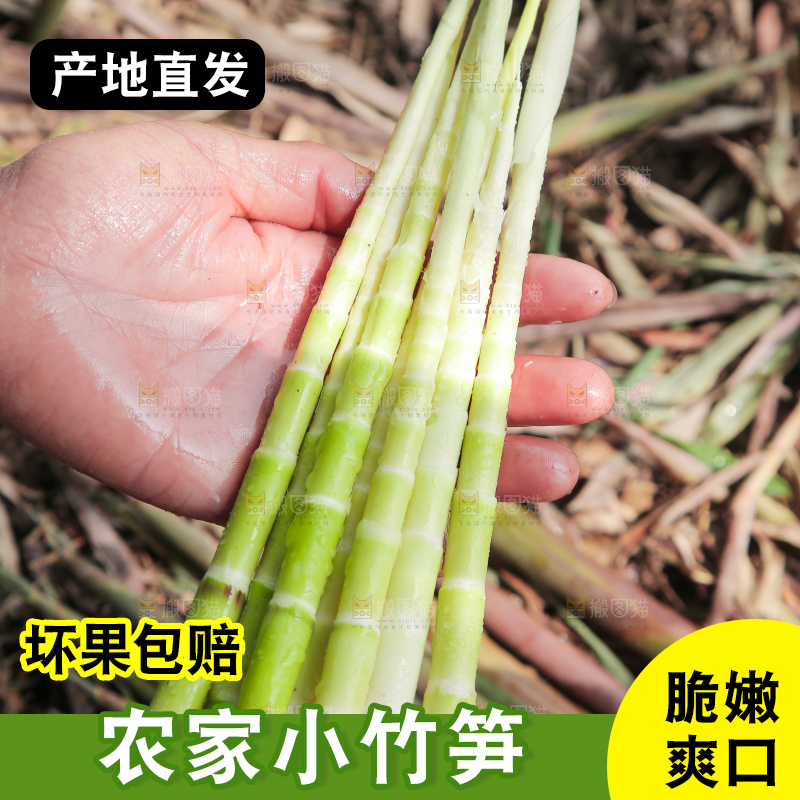 手里拿着去皮的竹笋