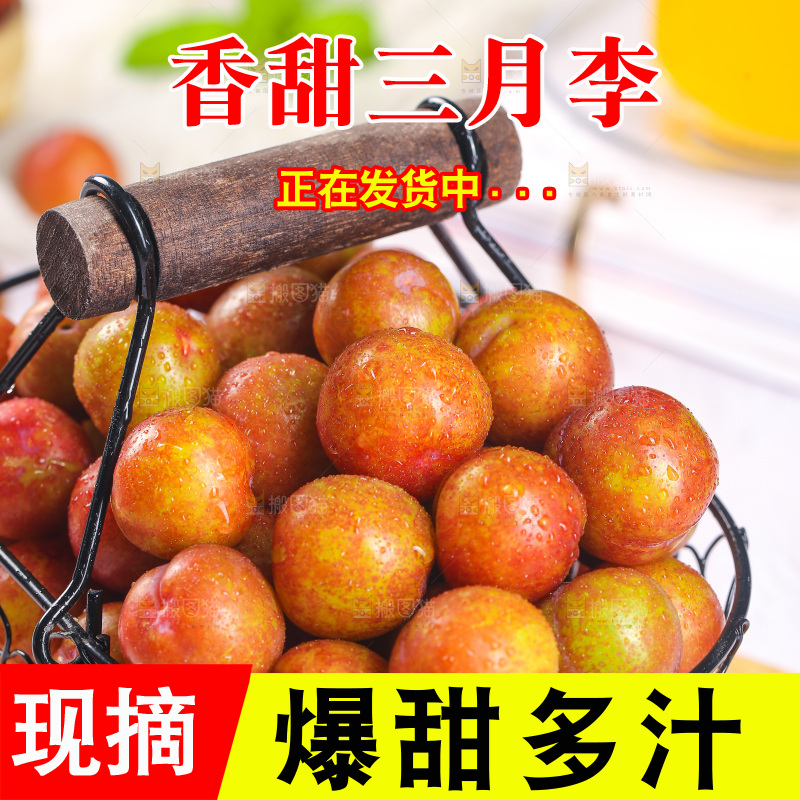 一篮红三月李
