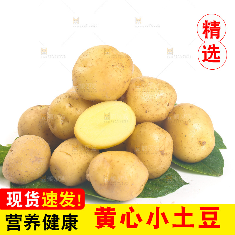 一堆小土豆